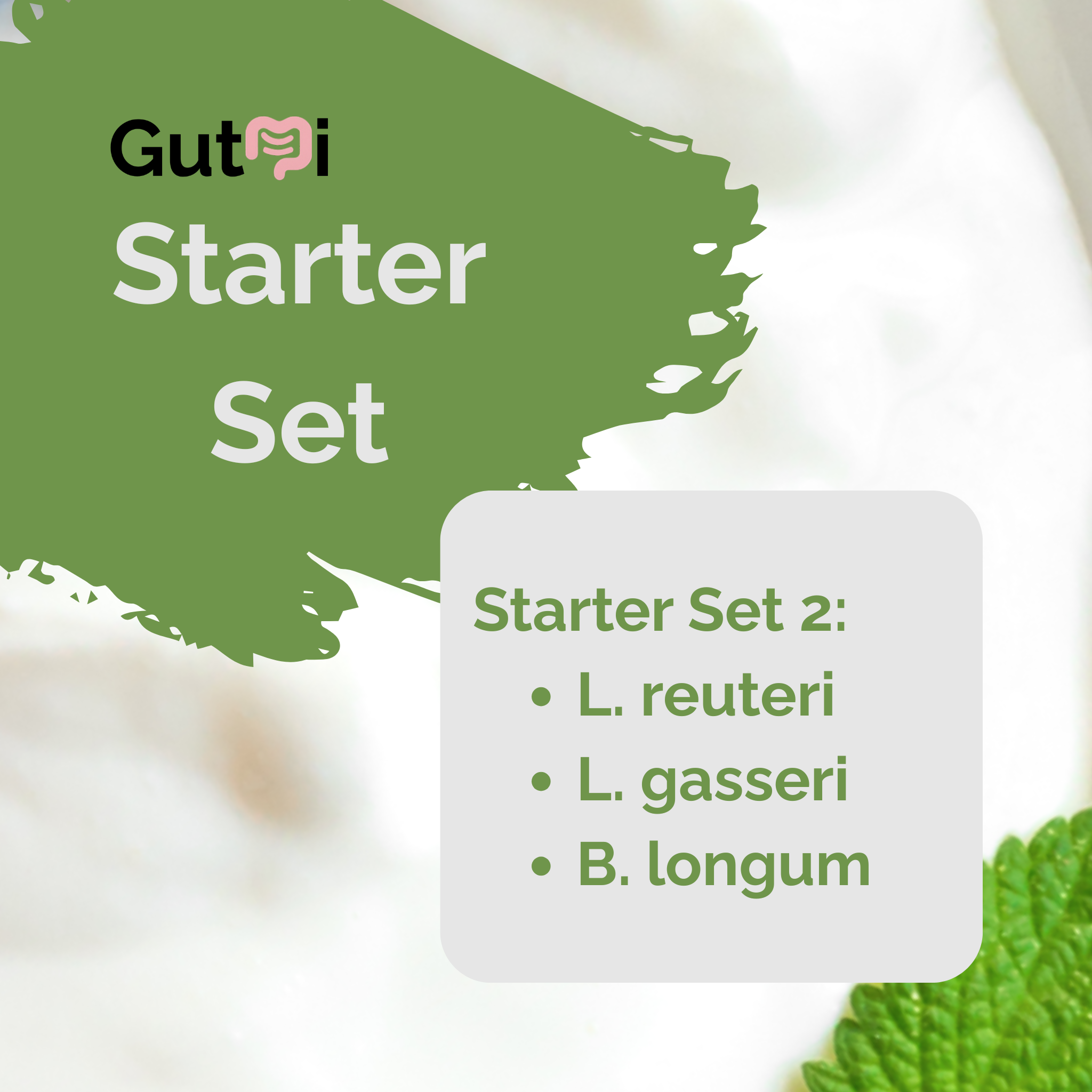 L. reuteri + L. gasseri + B. longum | Yoghurt Starter Set | Licht Darm | Starterculturen | Verpakking van 3