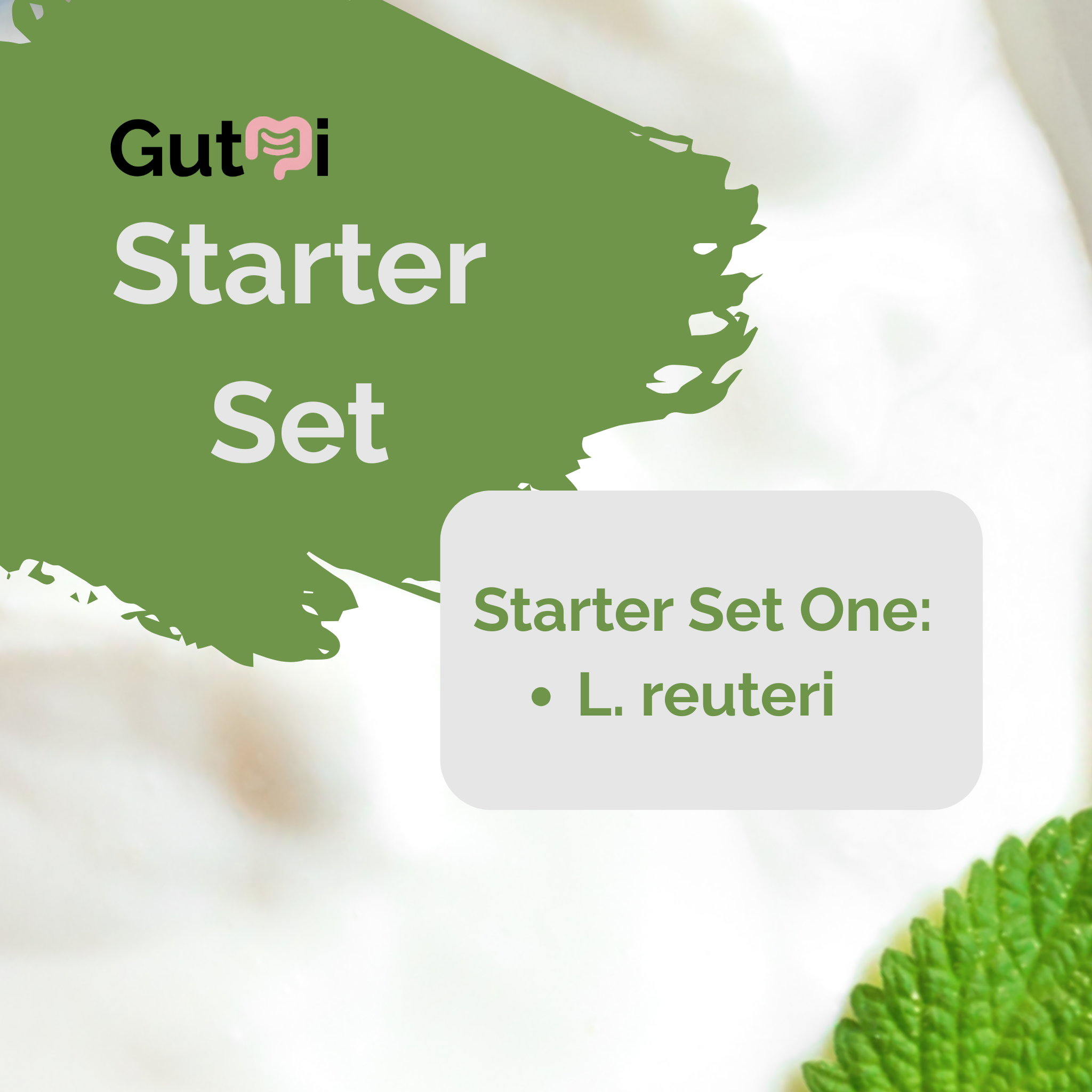 L. reuteri | Yoghurt Starter Set | Starterculturen | Verpakking van 3