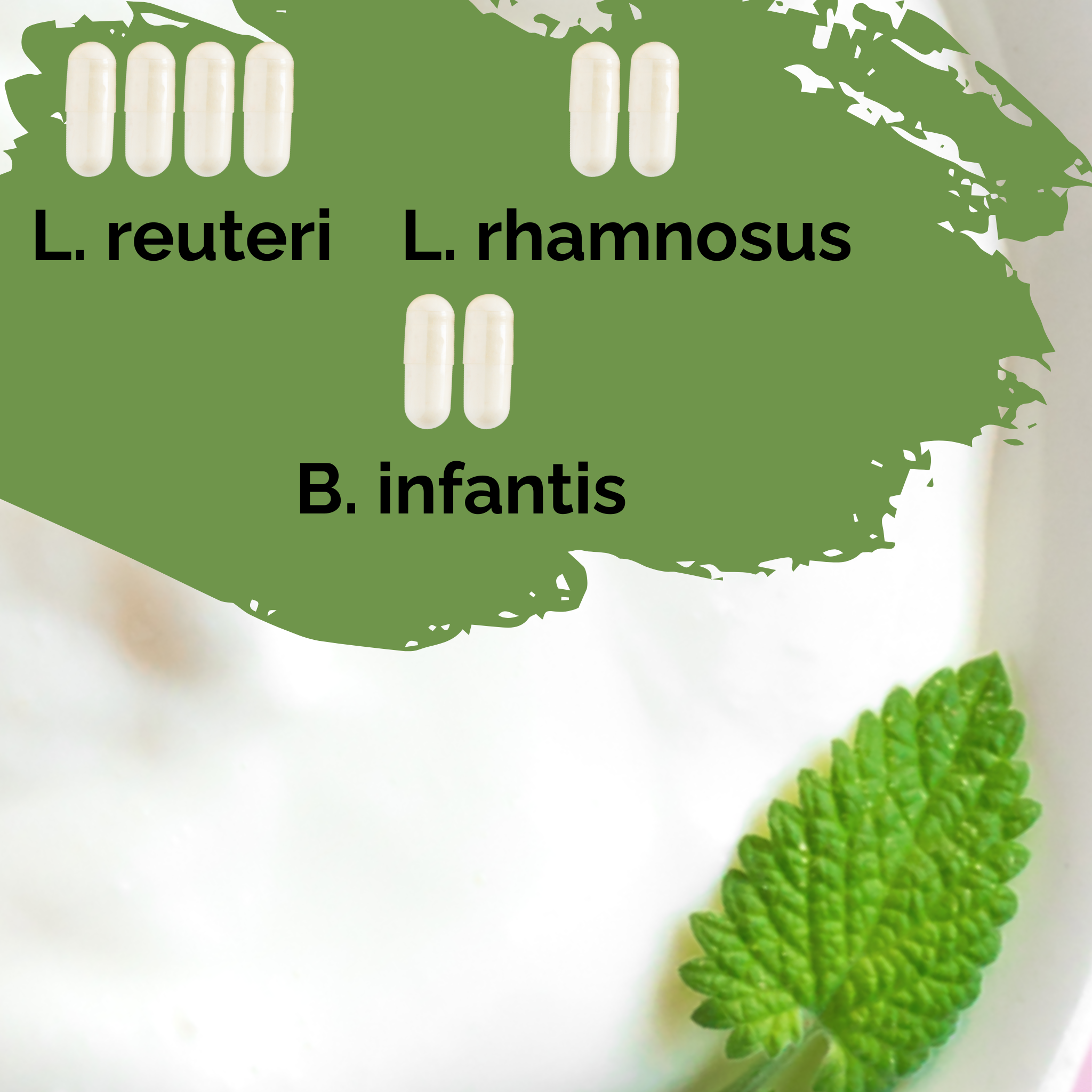L. reuteri + L. rhamnosus + B. infantis | Yoghurt Starter Set | HappyGut | Starterculturen | Set van 3