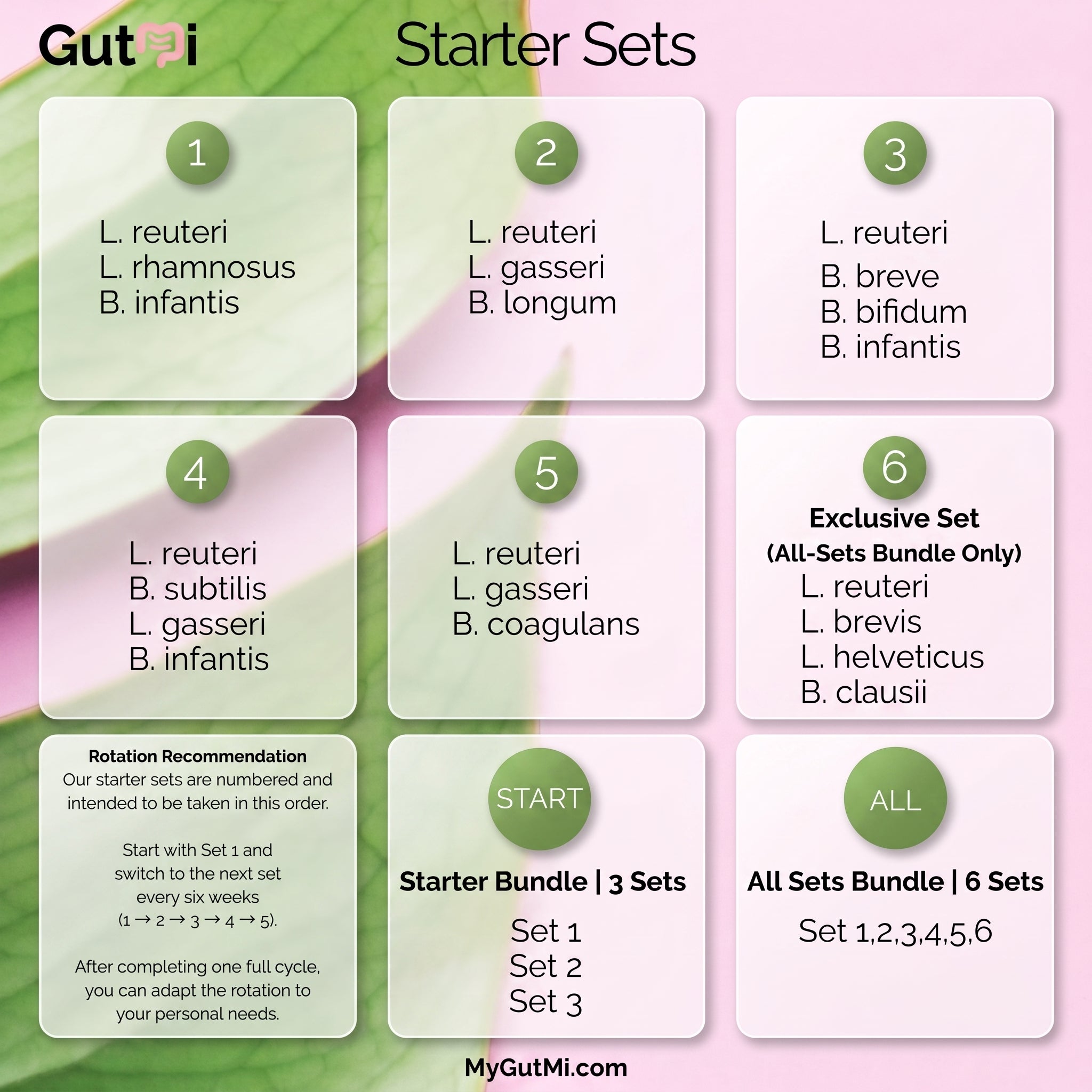 L. reuteri + B. coagulans + L. gasseri | SIBO | Yoghurtstarterset | Starterculturen | 3 yoghurtstarters