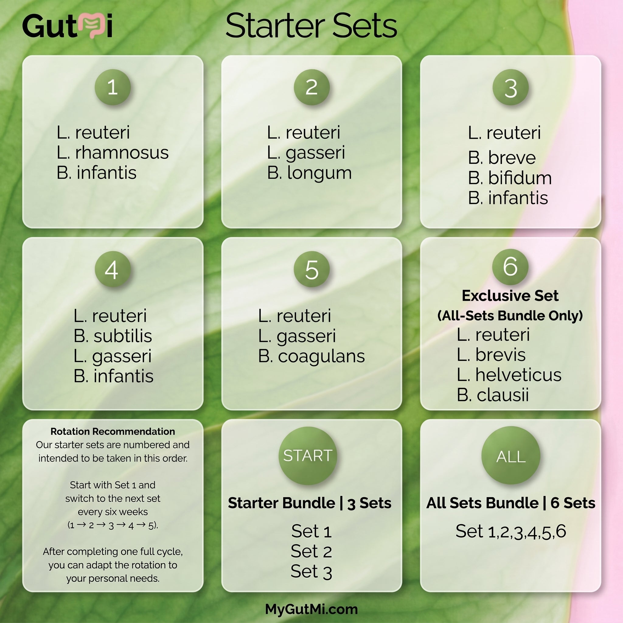 L. reuteri + B. coagulans + L. gasseri | SIBO | Yoghurtstarterset | Starterculturen | 3 yoghurtstarters