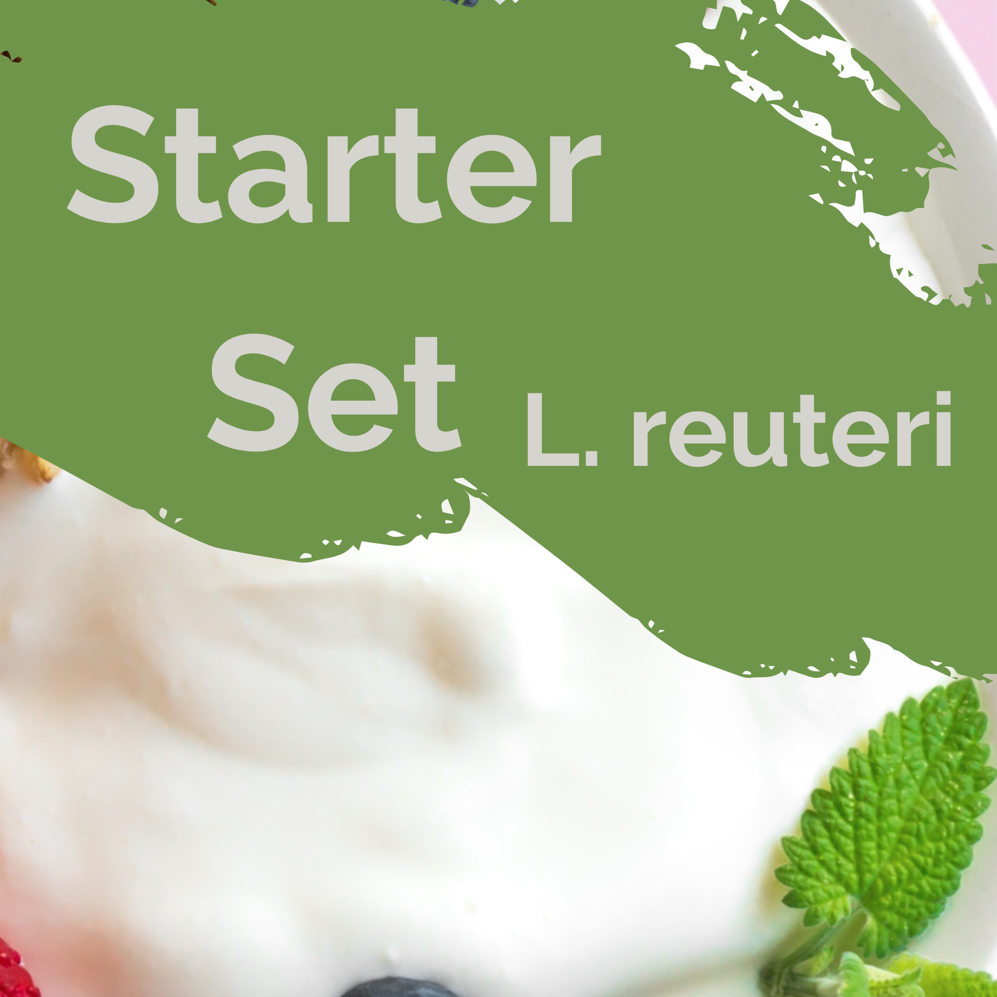 L. reuteri | Yoghurt Starter Set | Starterculturen | Verpakking van 3