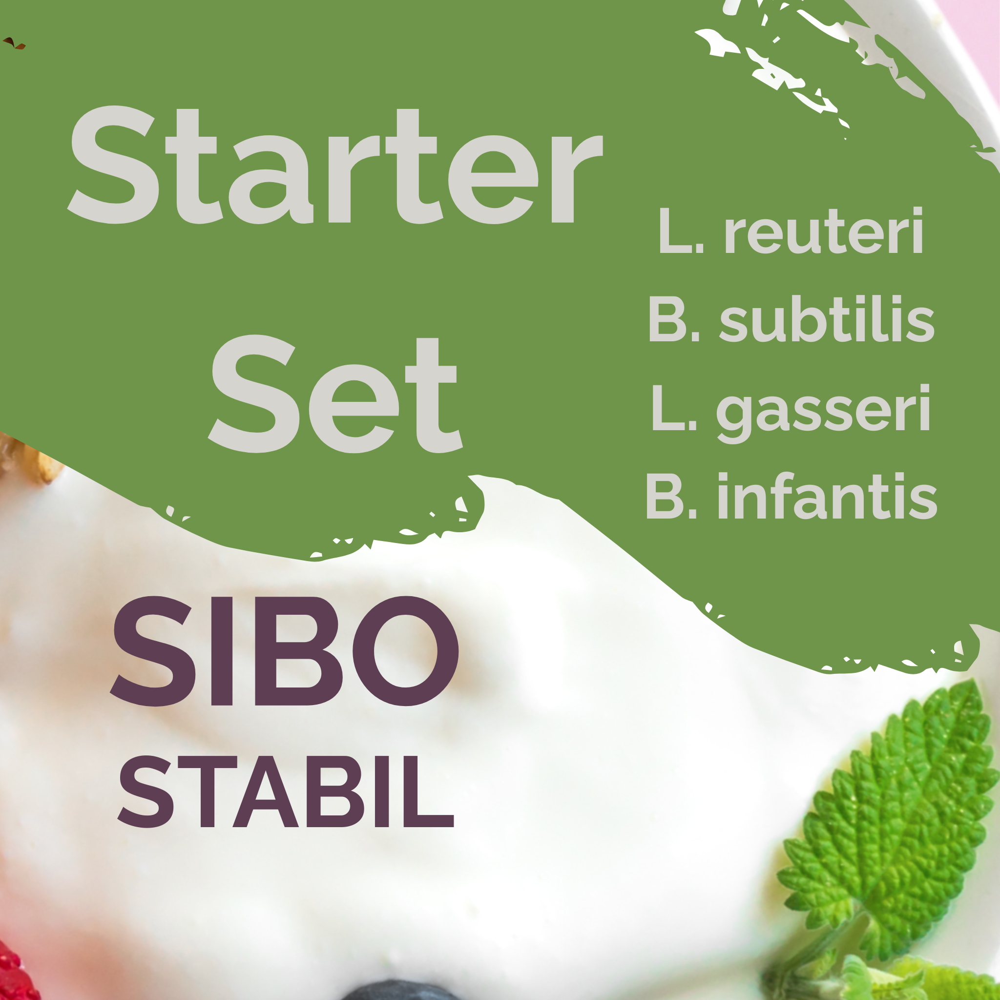 L. reuteri + L. gasseri + B. infantis + B. subtilis | Yoghurt Starter Set | SIBOStable | Starter Culturen | Set van 3